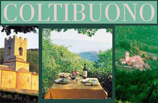 Badia a Coltibuono