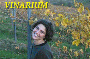 Vinarium Cooking and Wine Lessons in Tuscany
