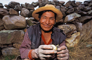 Pica Peru Culinary Vacations