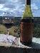 Alura Gourmet Tours in cookforfun